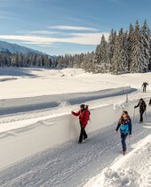 Gruppe beim Winterwandern in Seefeld