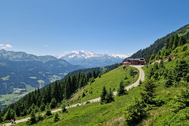 Wanderweg zur Moosalm & Adamhütte | © Sabine Hechenberger