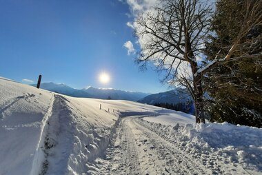 Winterwandern in der Region Zell am See, Foto: Sabine Hechenberger
