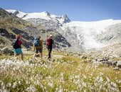 Gruppe beim Wandern in Matrei in Osttirol