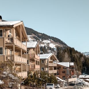 Apartment & Ferienresort Rehrenberg Viehhofen