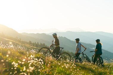 Mountainbiker in einer Blumenwiese